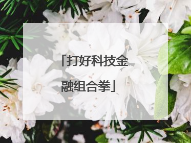 打好科技金融组合拳
