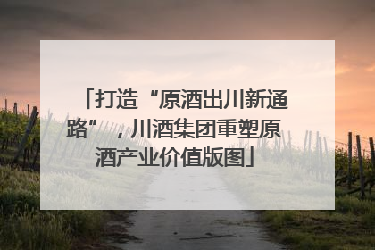 打造“原酒出川新通路”，川酒集团重塑原酒产业价值版图