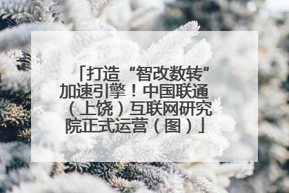 打造“智改数转”加速引擎！中国联通（上饶）互联网研究院正式运营（图）