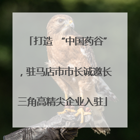 打造 “中国药谷”，驻马店市市长诚邀长三角高精尖企业入驻