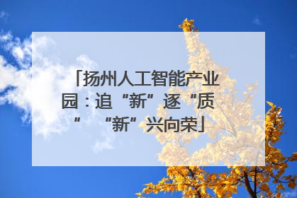 扬州人工智能产业园：追“新”逐“质” “新”兴向荣