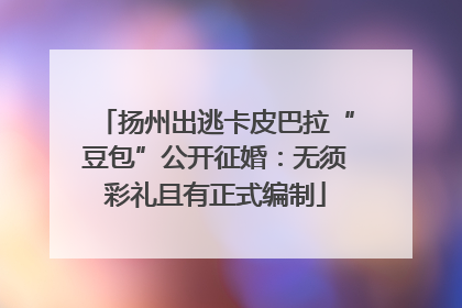 扬州出逃卡皮巴拉“豆包”公开征婚：无须彩礼且有正式编制