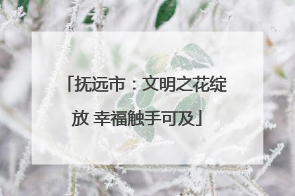 抚远市：文明之花绽放 幸福触手可及