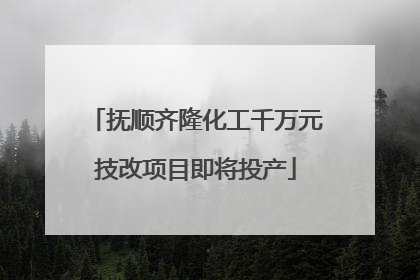 抚顺齐隆化工千万元技改项目即将投产