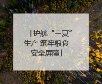 护航“三夏”生产 筑牢粮食安全屏障