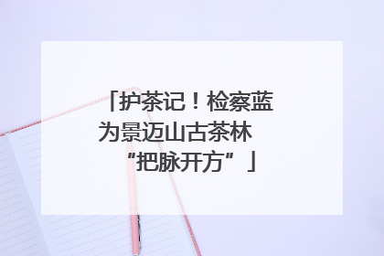 护茶记！检察蓝为景迈山古茶林 “把脉开方”