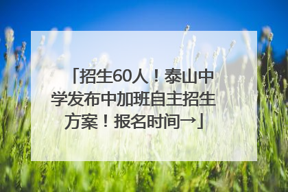 招生60人！泰山中学发布中加班自主招生方案！报名时间→
