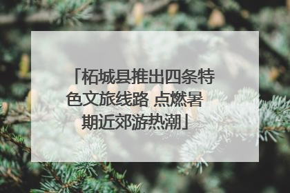 柘城县推出四条特色文旅线路 点燃暑期近郊游热潮