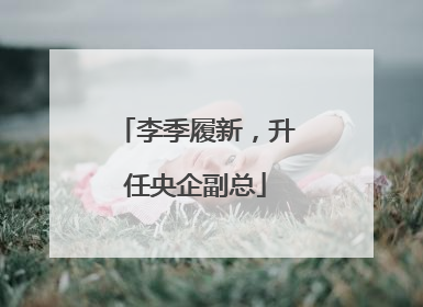 李季履新，升任央企副总