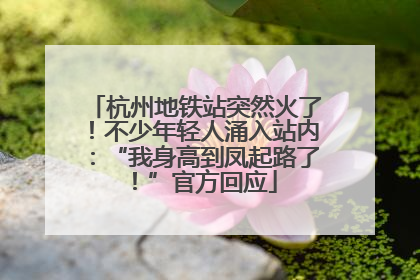 杭州地铁站突然火了！不少年轻人涌入站内：“我身高到凤起路了！”官方回应