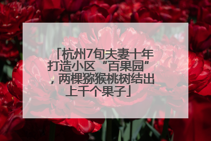 杭州7旬夫妻十年打造小区“百果园”，两棵猕猴桃树结出上千个果子