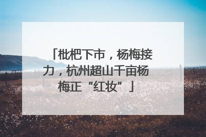 枇杷下市，杨梅接力，杭州超山千亩杨梅正“红妆”