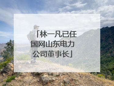 林一凡已任国网山东电力公司董事长