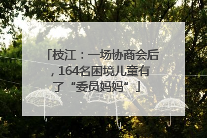 枝江：一场协商会后，164名困境儿童有了“委员妈妈”