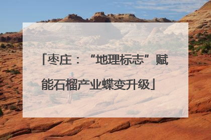 枣庄：“地理标志”赋能石榴产业蝶变升级