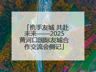 携手友城 共赴未来——2025黄河口国际友城合作交流会侧记