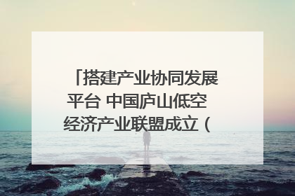 搭建产业协同发展平台 中国庐山低空经济产业联盟成立（组图｜视频）