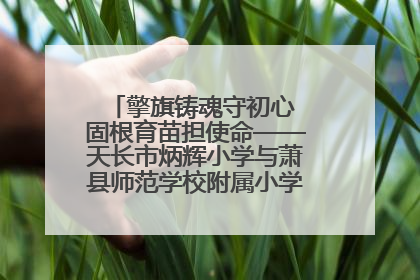 擎旗铸魂守初心 固根育苗担使命——天长市炳辉小学与萧县师范学校附属小学结对共建活动纪实