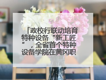 政校行联动培育特种设备“新工匠”，全省首个特种设备学院在黄冈职业技术学院成立