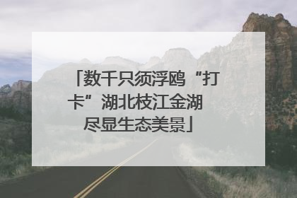 数千只须浮鸥“打卡”湖北枝江金湖 尽显生态美景