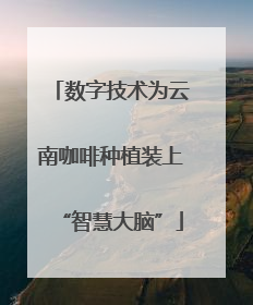 数字技术为云南咖啡种植装上“智慧大脑”