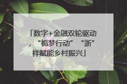 数字+金融双轮驱动，“栀梦行动”“浙”样赋能乡村振兴