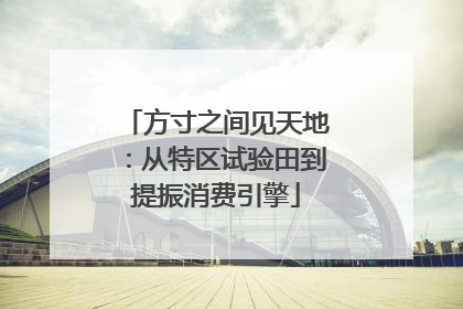 方寸之间见天地：从特区试验田到提振消费引擎