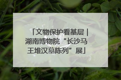 文物保护看基层｜湖南博物院“长沙马王堆汉墓陈列”展