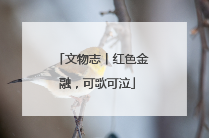 文物志丨红色金融，可歌可泣
