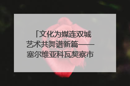 文化为媒连双城 艺术共舞谱新篇——塞尔维亚科瓦契察市代表团访问日照
