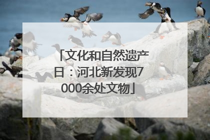 文化和自然遗产日：河北新发现7000余处文物