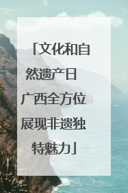 文化和自然遗产日 广西全方位展现非遗独特魅力