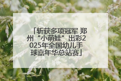 斩获多项冠军 郑州“小萌娃”出彩2025年全国幼儿手球嘉年华总站赛