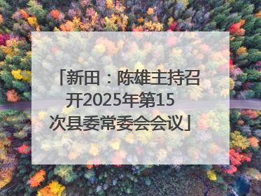 新田：陈雄主持召开2025年第15次县委常委会会议