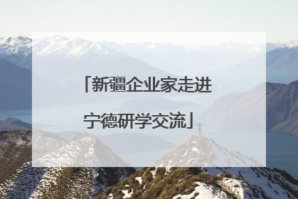 新疆企业家走进宁德研学交流