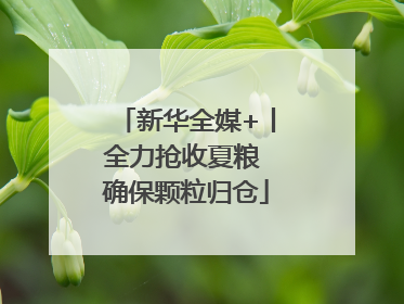新华全媒+丨全力抢收夏粮 确保颗粒归仓