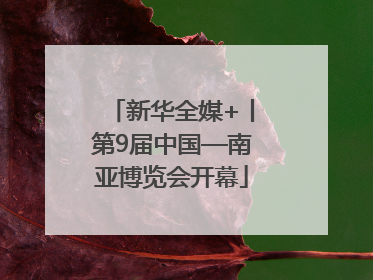 新华全媒+丨第9届中国—南亚博览会开幕