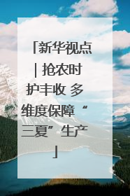 新华视点｜抢农时 护丰收 多维度保障“三夏”生产