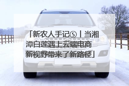 新农人手记⑤丨当湘潭白莲遇上云端电商 新视野带来了新路径