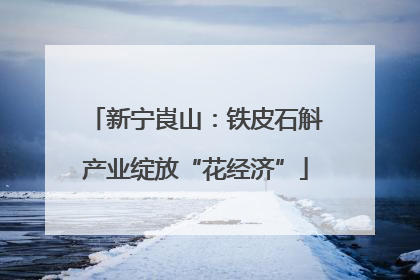 新宁崀山：铁皮石斛产业绽放“花经济”