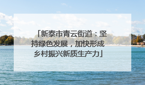 新泰市青云街道：坚持绿色发展，加快形成乡村振兴新质生产力
