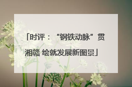 时评：“钢铁动脉”贯湘赣 绘就发展新图景