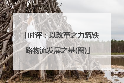 时评：以改革之力筑铁路物流发展之基(图)