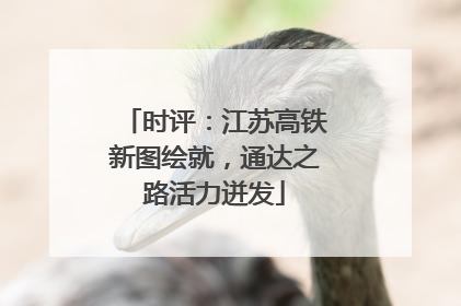 时评：江苏高铁新图绘就，通达之路活力迸发