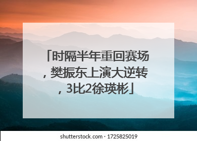 时隔半年重回赛场，樊振东上演大逆转，3比2徐瑛彬