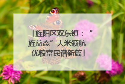 旌阳区双东镇：“旌益态”大米领航 优粮富民谱新篇
