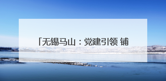 无锡马山：党建引领 铺就“梅”好乡村振兴路