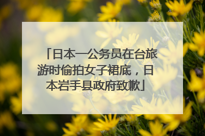 日本一公务员在台旅游时偷拍女子裙底，日本岩手县政府致歉