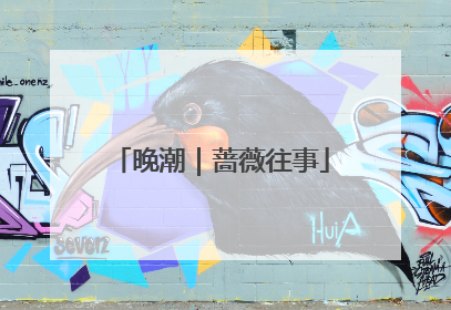 晚潮｜蔷薇往事