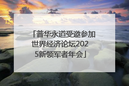 普华永道受邀参加世界经济论坛2025新领军者年会
